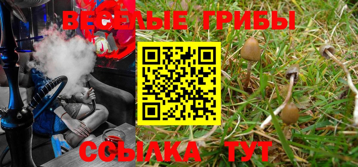 Галлюциногенные грибы GOLDEN TEACHER Дзержинск