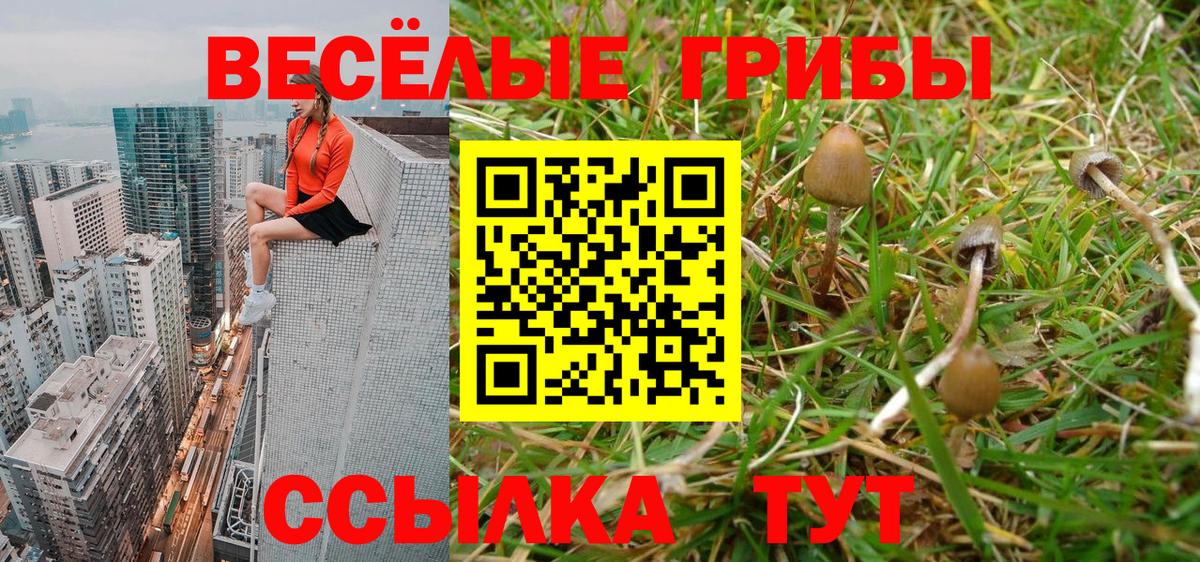 Дзержинск  Галлюциногенные грибы Psilocybe  цена   Галлюциногенные грибы Magic Shrooms  Вход с VPN 
